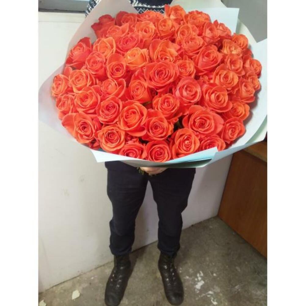 Вау рыжие Вау рыжие