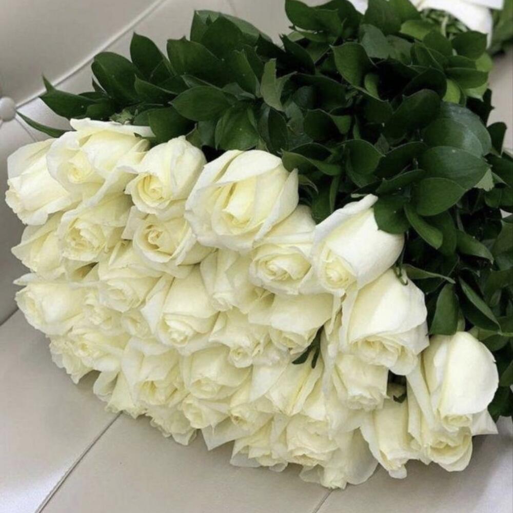 Голландские розы